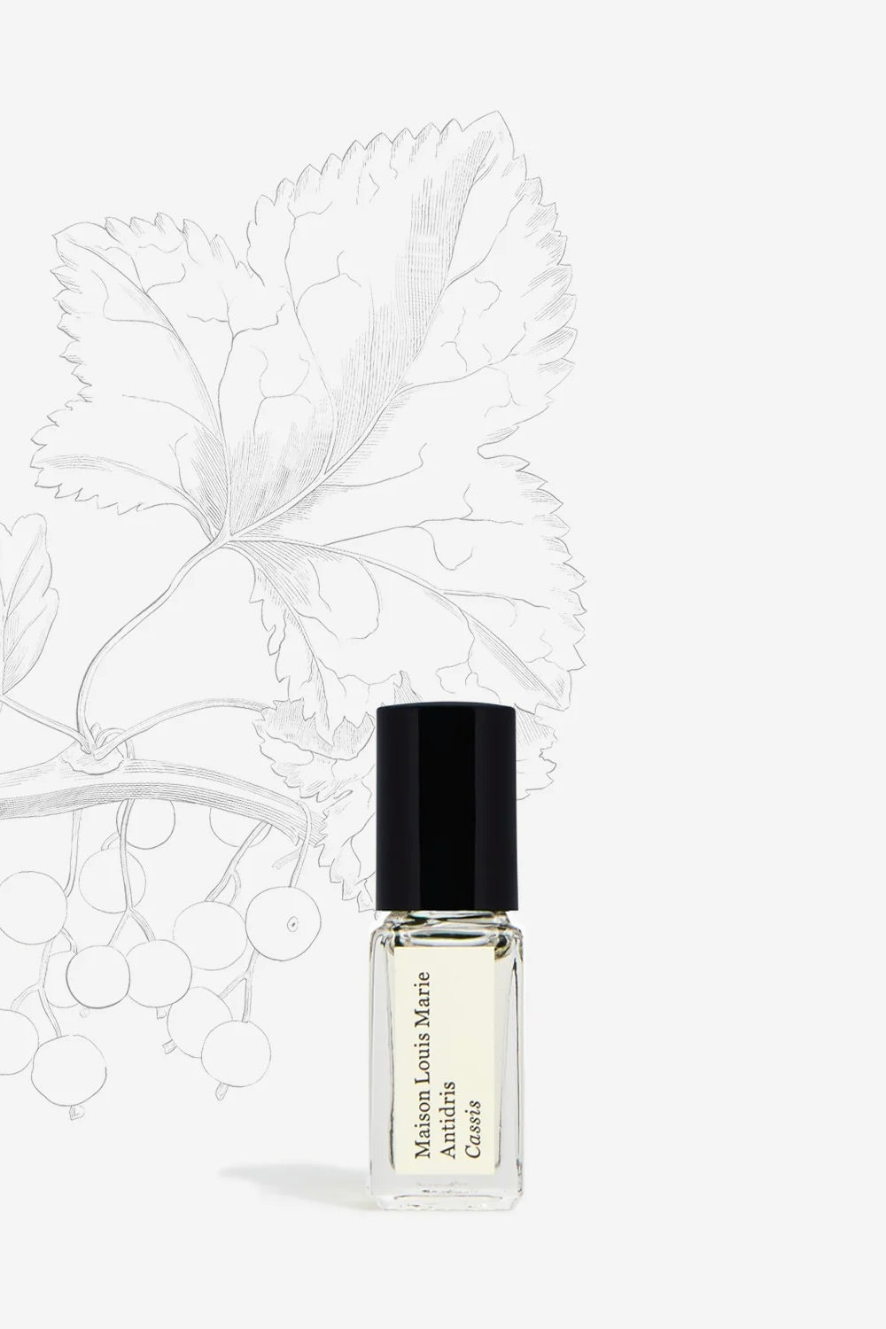 Antidris Cassis - Perfume Oil Mini