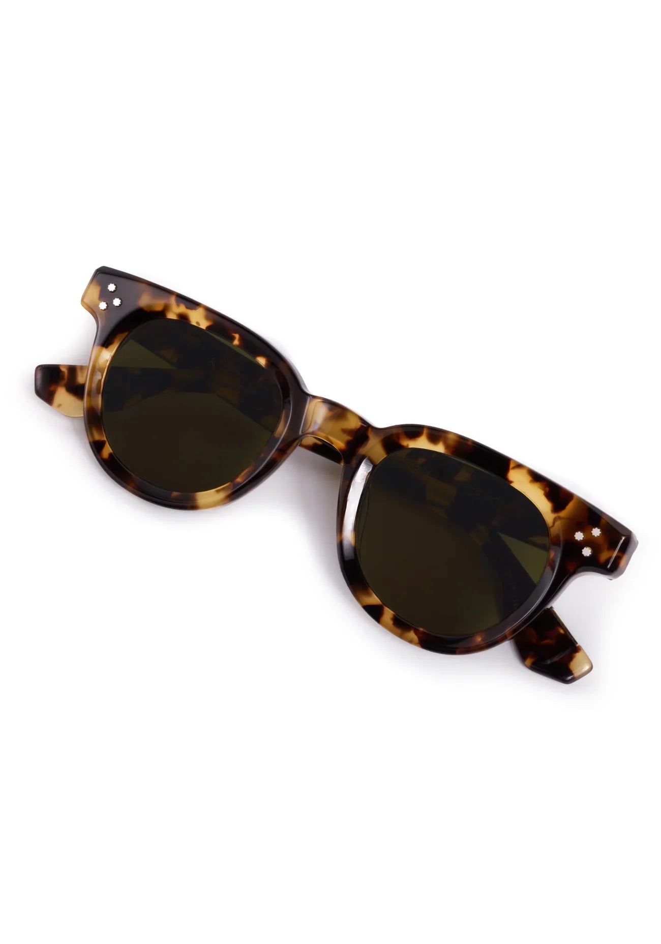 Devon - Nikko Tortoise