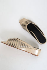 Balant Wedge Mini Pouch - Champagne