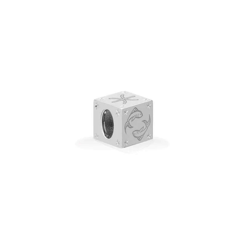 Zodiac Block Big Bead - Silver (By Special Order)
